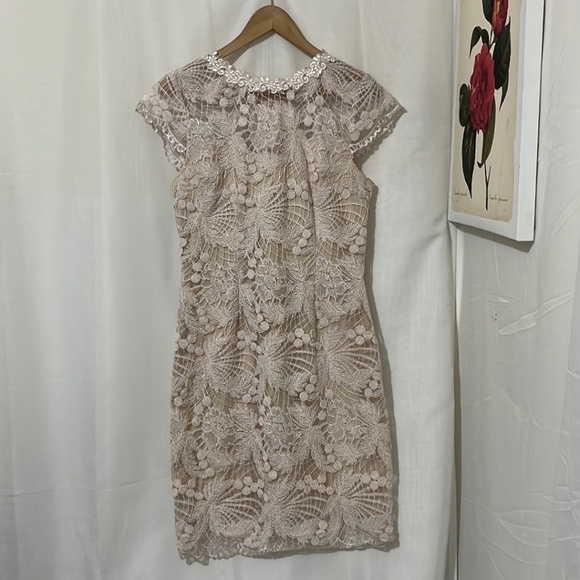 Soieblu Pink Lace Sleeveless Dress with Nude Underlay a175 - Picture 1 of 7